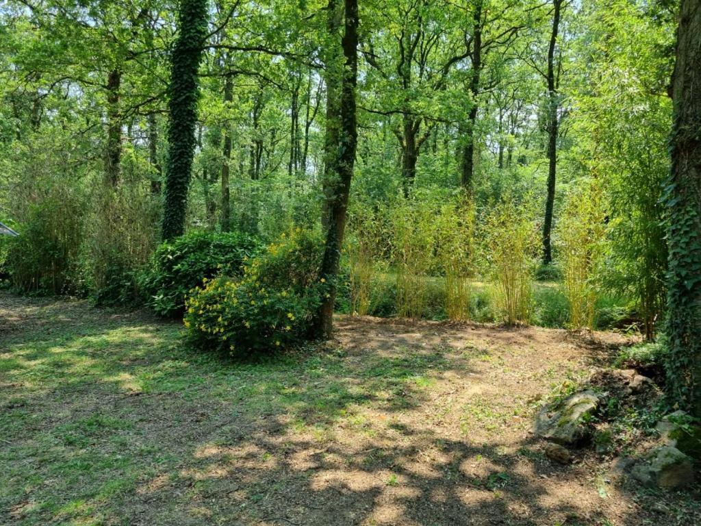 Les Chalets De Saumur, Piscine & Parc Boise, 100M Du Cadrenoir 외부 사진