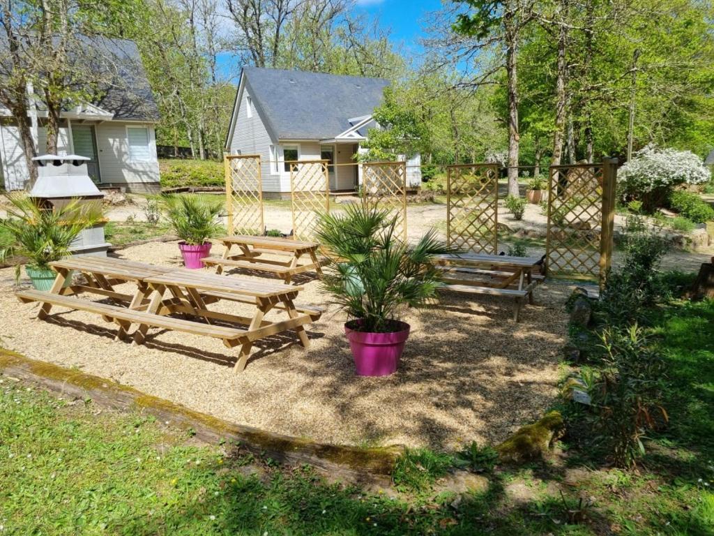 Les Chalets De Saumur, Piscine & Parc Boise, 100M Du Cadrenoir 외부 사진