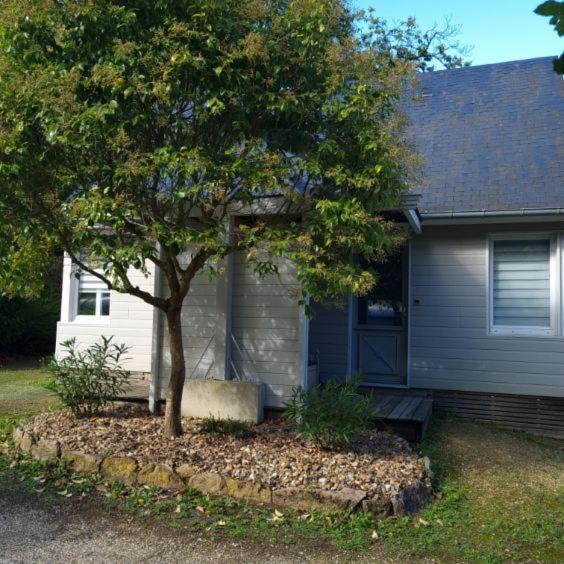 Les Chalets De Saumur, Piscine & Parc Boise, 100M Du Cadrenoir 외부 사진